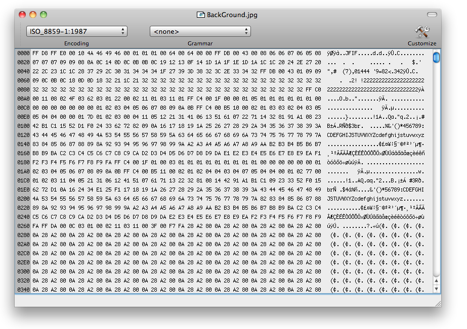 Example of a hex editor